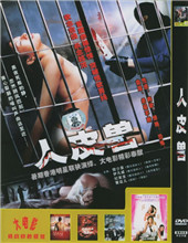 青春禁区视频在线观看直播免费